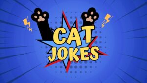 Funny Cat Jokes