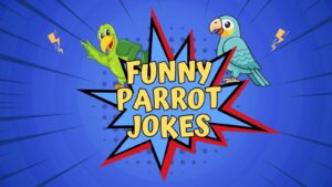 Funny Parrot Jokes