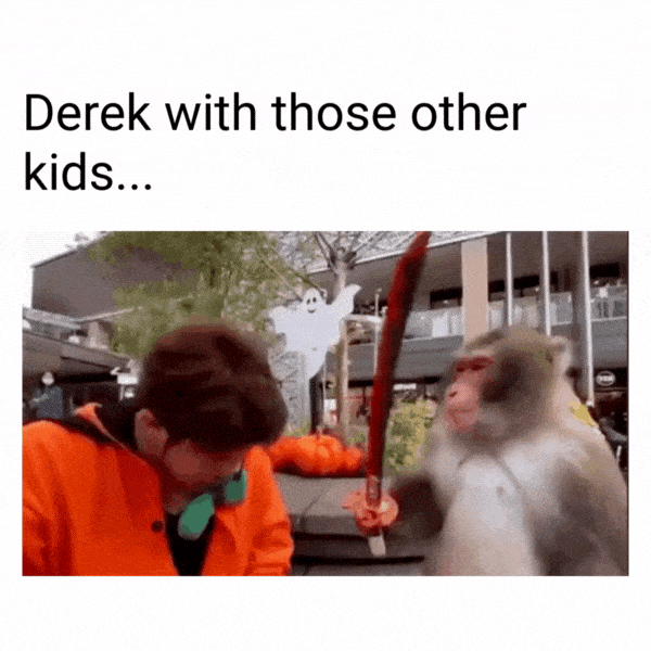 Derek Meme on Stranger Things 5