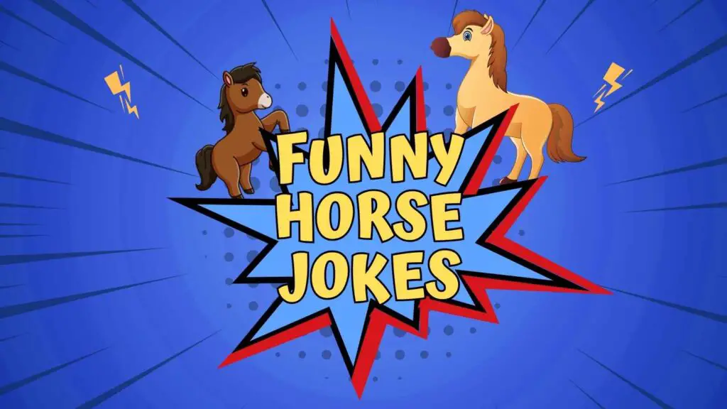 Funny Horse Jokes