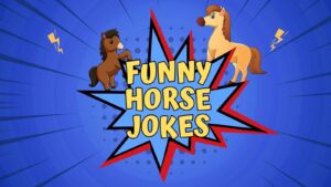 Funny Horse Jokes