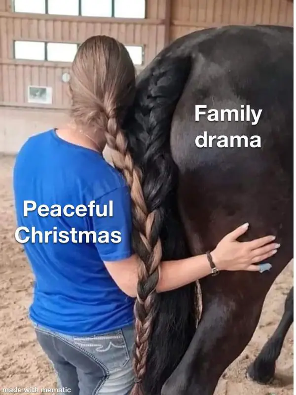 40 Funny Christmas Memes Full of Holiday Fun in 2025 Christmas Family Drama Meme