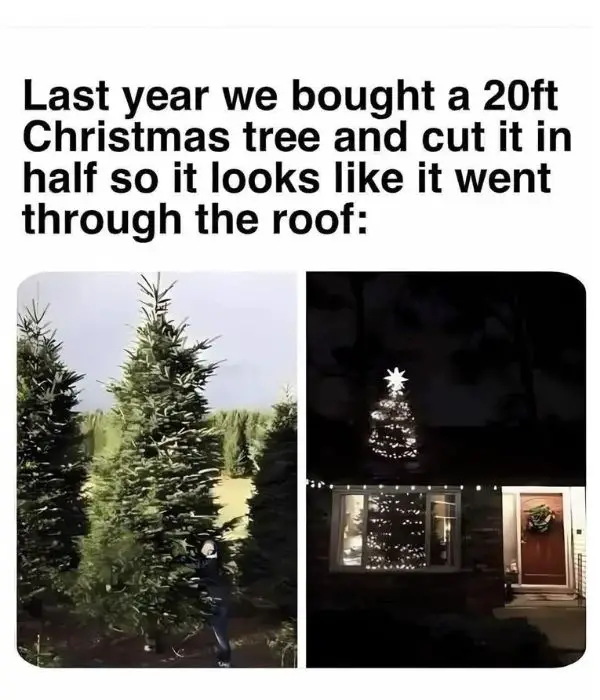 40 Funny Christmas Memes Full of Holiday Fun in 2025 Christmas Tree Through The Roof Meme