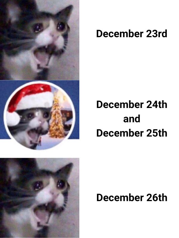 40 Funny Christmas Memes Full of Holiday Fun in 2025 December 25th Meme