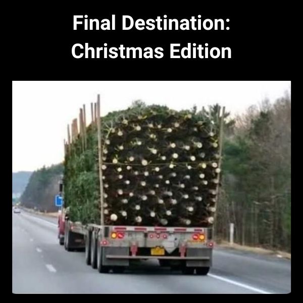 40 Funny Christmas Memes Full of Holiday Fun in 2025 Final Destination Christmas Edition Meme