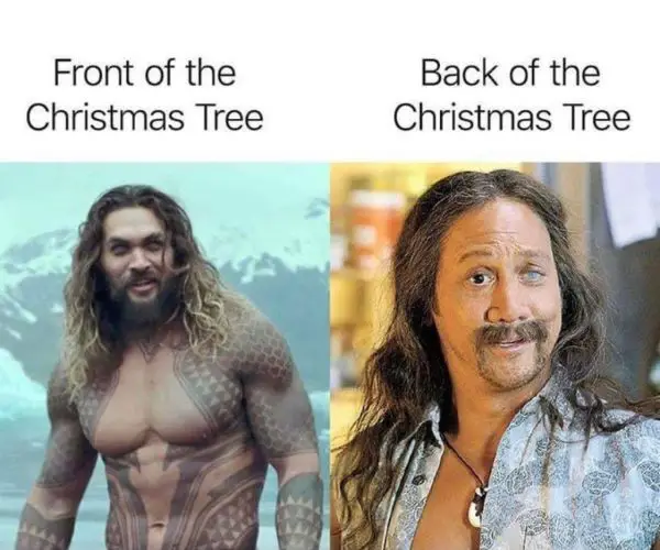 40 Funny Christmas Memes Full of Holiday Fun in 2025 Front vs back of a Christmas Tree Meme