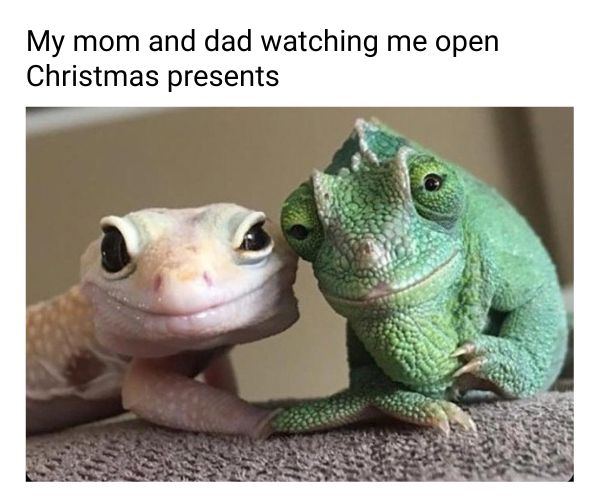 40 Funny Christmas Memes Full of Holiday Fun in 2025 Mother Father Watching Kid Open Christmas Present Meme