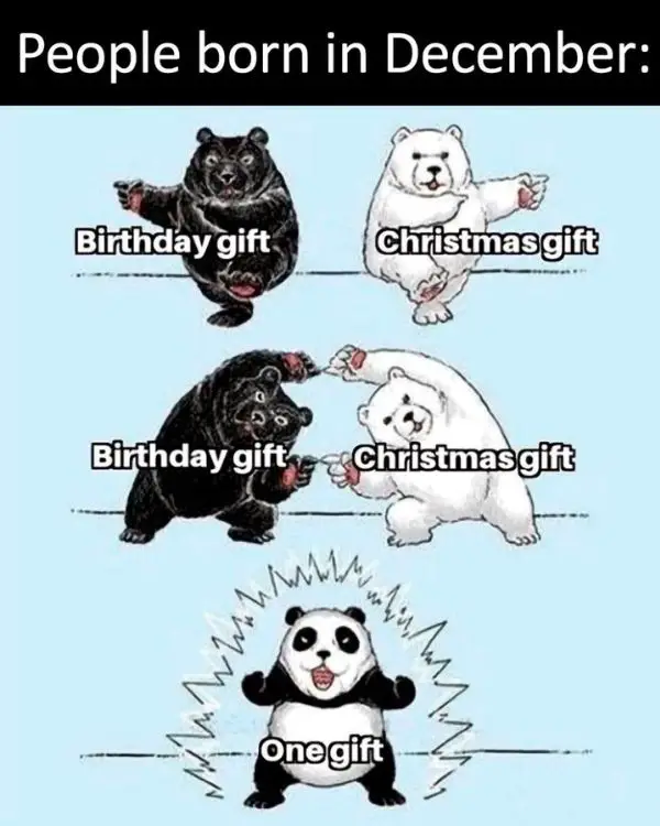 40 Funny Christmas Memes Full of Holiday Fun in 2025 People Born in December Meme on Gift
