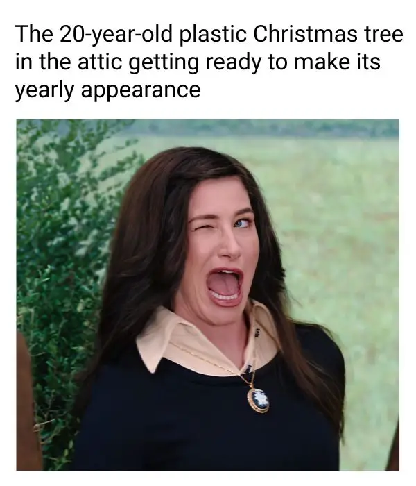 40 Funny Christmas Memes Full of Holiday Fun in 2025 Plastic Christmas Tree Meme