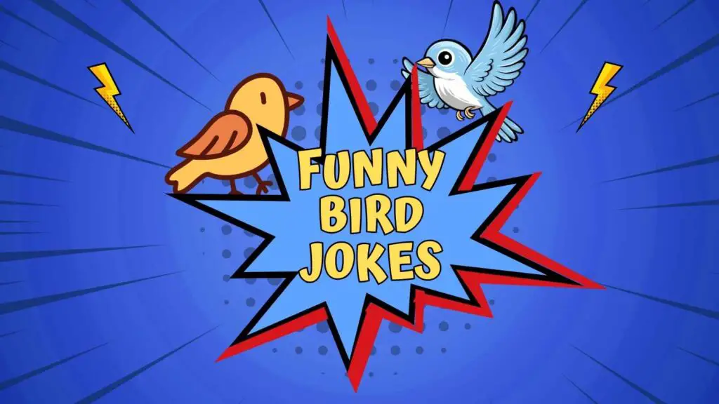 Funny Bird Jokes