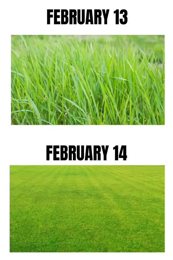 February 13 Vs February 14 Meme
