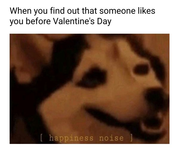 Funny Valentine's Day Meme on Someone Likes You