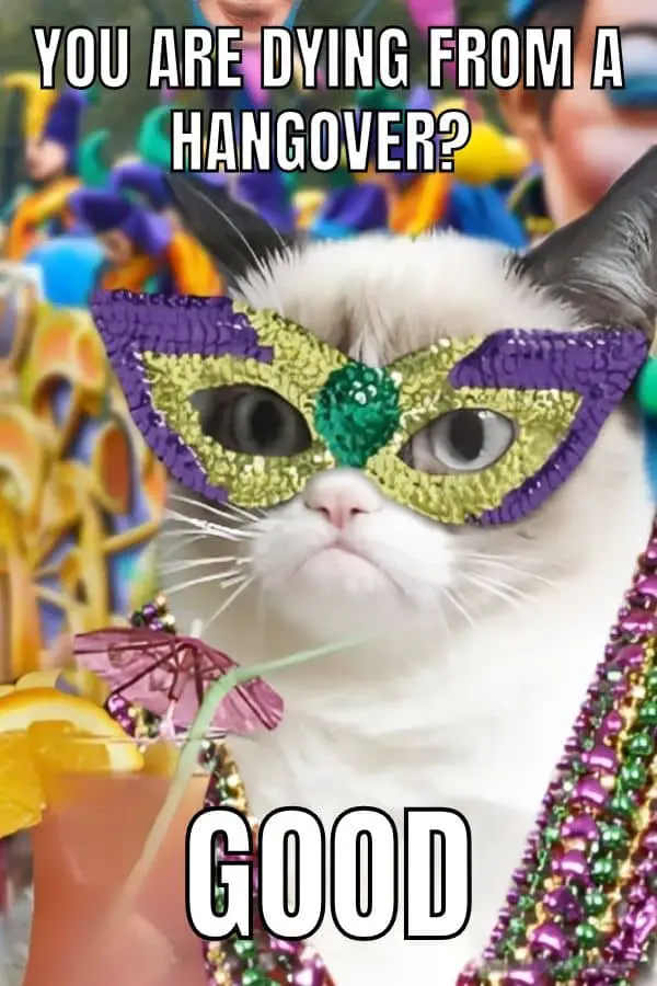 20 Funny Mardi Gras Memes to Make 2026 Carnival Better Mardi Gras Grumpy Cat Meme on Hangover
