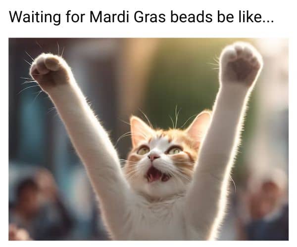 20 Funny Mardi Gras Memes to Make 2026 Carnival Better Waiting For Mardi Gras Beads Meme
