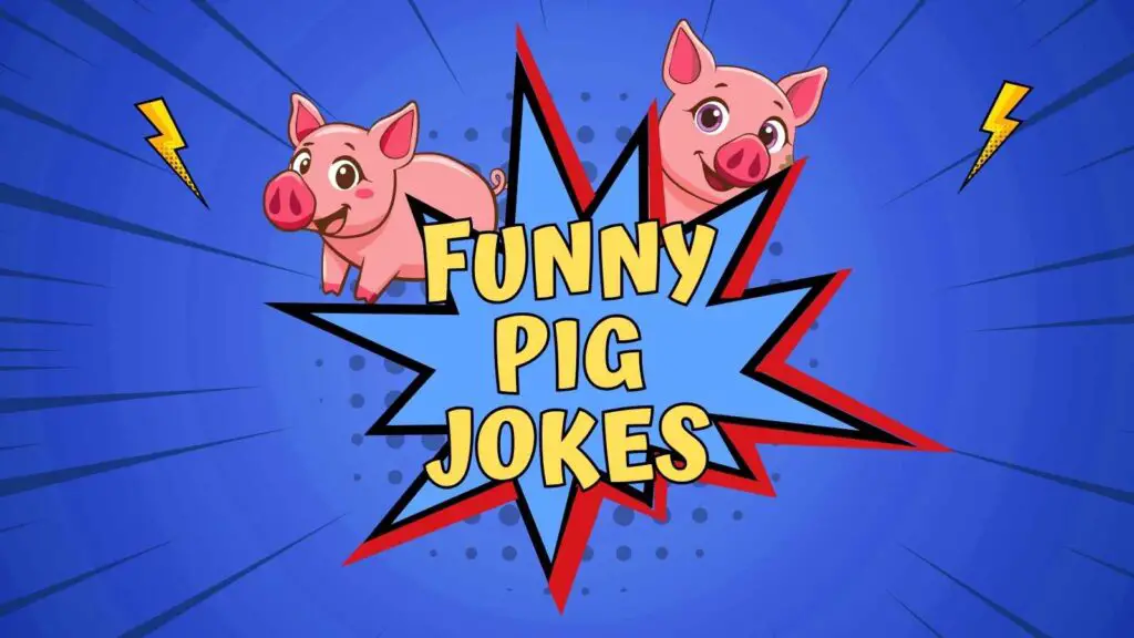 Funny Pig Jokes