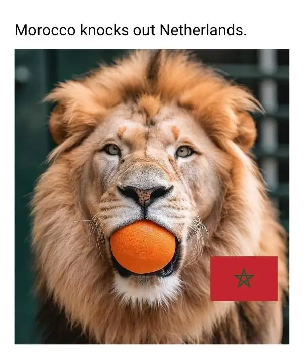 30 Football World Cup 2026 Memes Coming from America Morocco knocks out Netherlands Meme