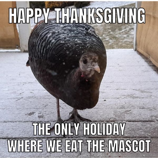 Eat the Mascot Meme on Thanksgiving Turkey