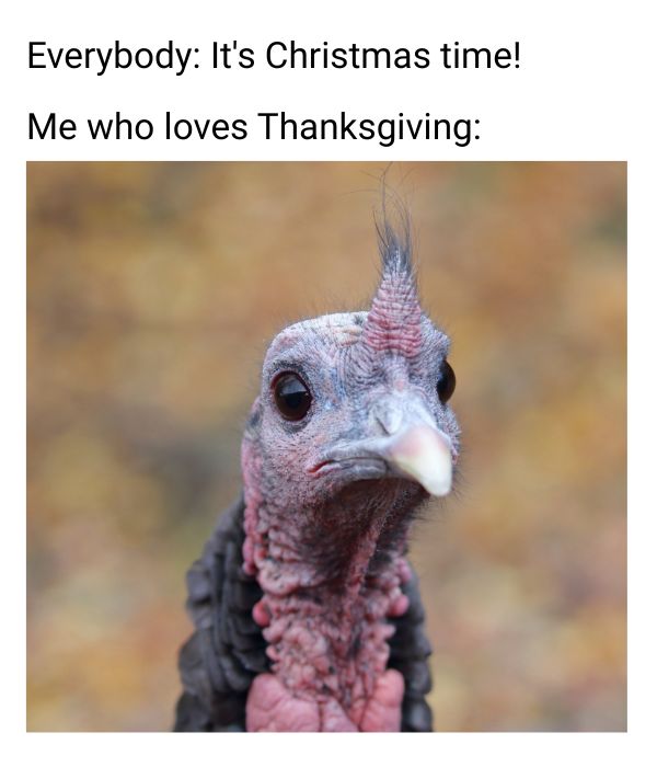 Sad Turkey Meme on Thanksgiving