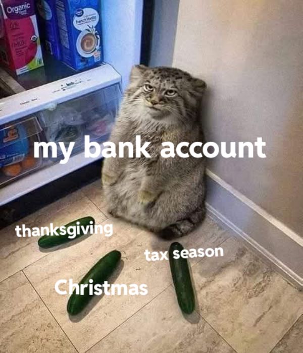 Thanksgiving Meme on Bank Account
